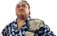 *Yokozuna11*